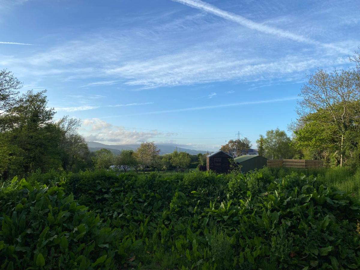 Cosy Double Shepherds Hut In Beautiful Wicklow With Underfloor Heating Throughout Rathnew Eksteriør bilde